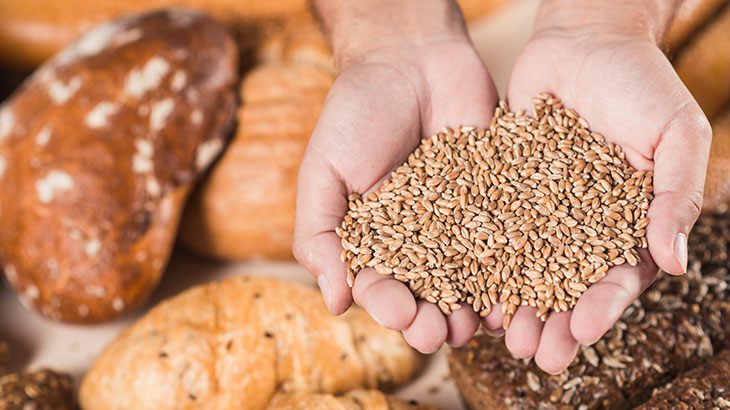 Çölyak Hastalığı Nedir? Belirtileri Nelerdir? Nasıl Tedavi Edilir?